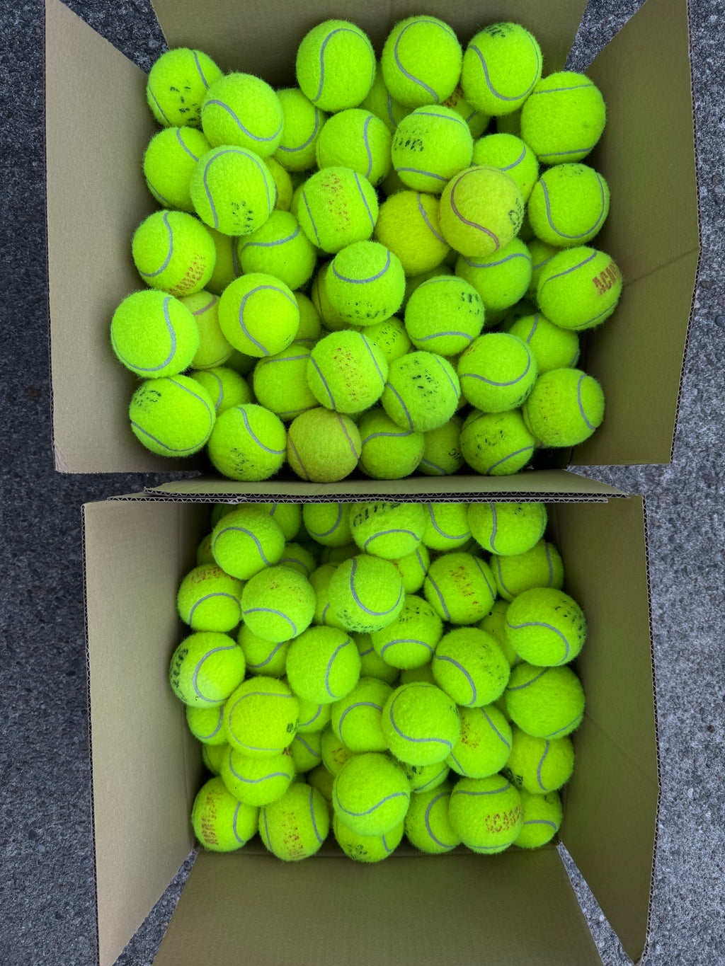 Zestaw piłek 30 szt. do aktywnej zabawy z psami – flyball i aport