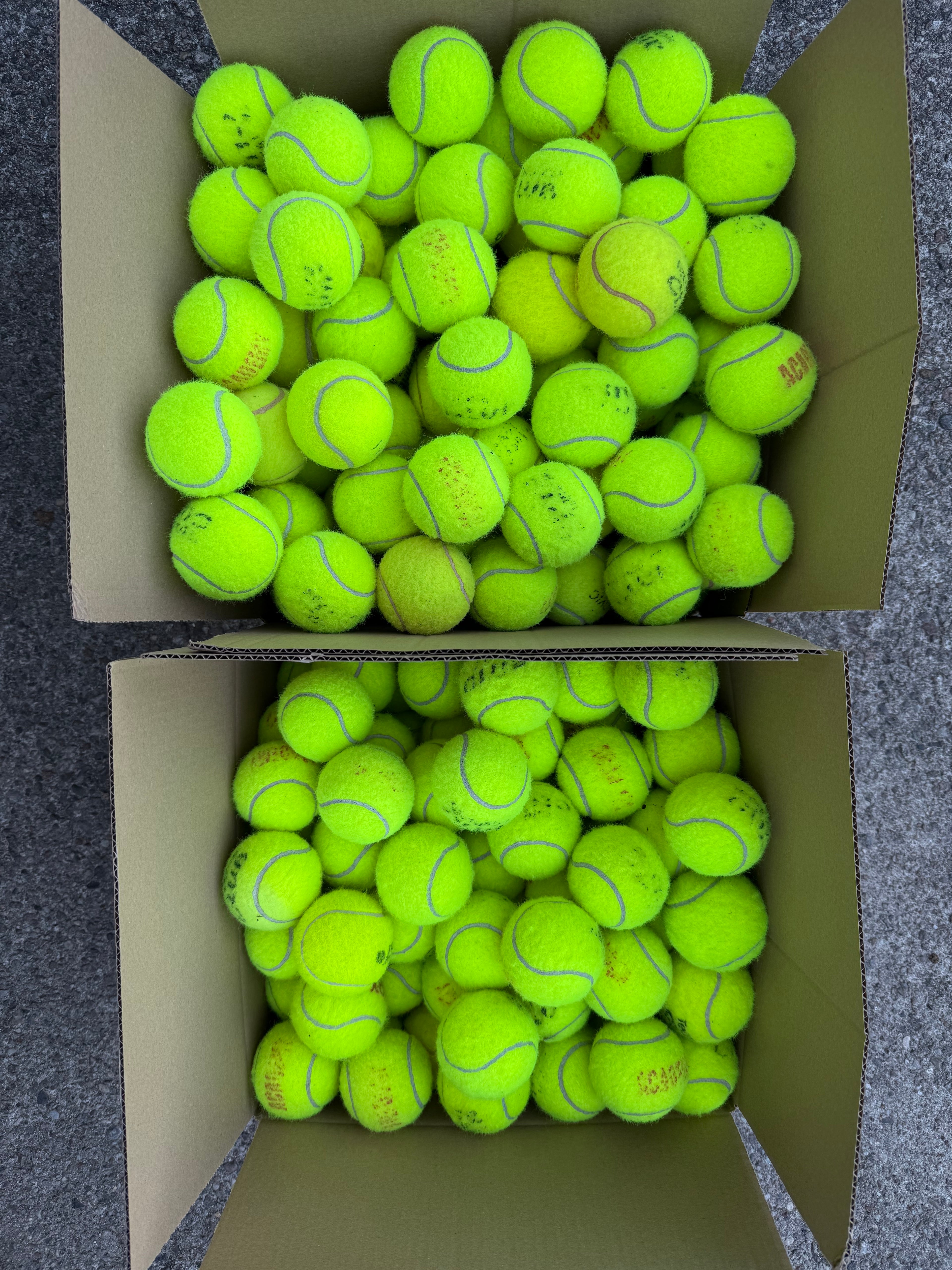 Zestaw piłek 30 szt. do aktywnej zabawy z psami – flyball i aport