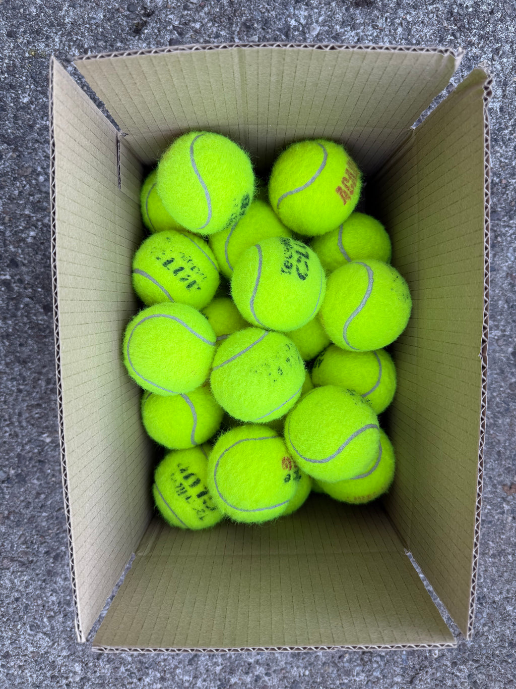 Zestaw piłek 50 szt. do aktywnej zabawy z psami – flyball i aport