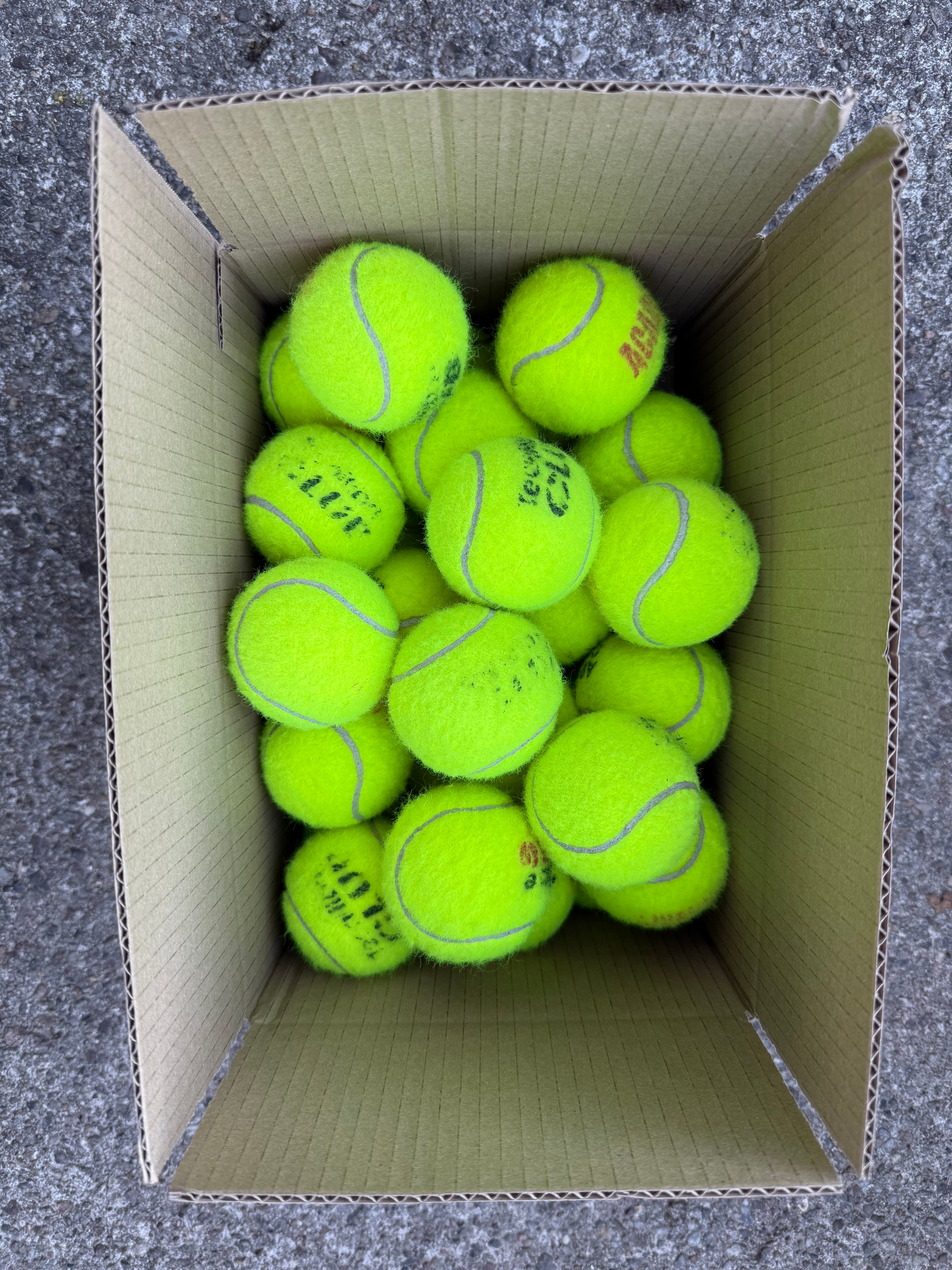 Zestaw piłek 50 szt. do aktywnej zabawy z psami – flyball i aport